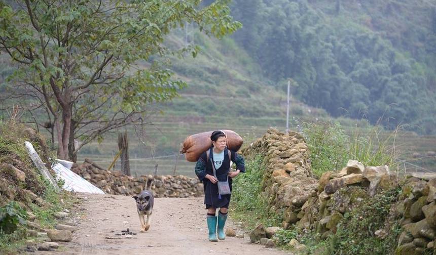 Descoberta Hanói - Sapa - Baía de Ha Long - Ninh Binh 8 Dias 7 Noites — 1
