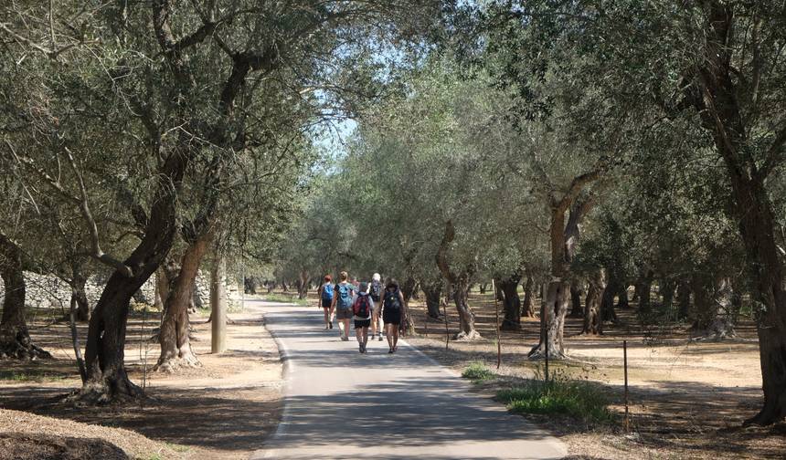 Walk&Rail em Salento 2020 — 1
