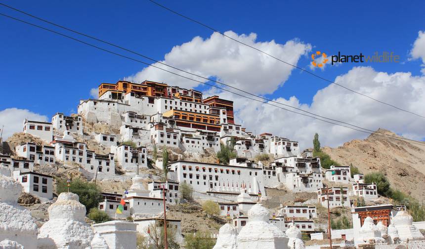 Explorador Trans-Himalaio - Ladakh, Índia — 1