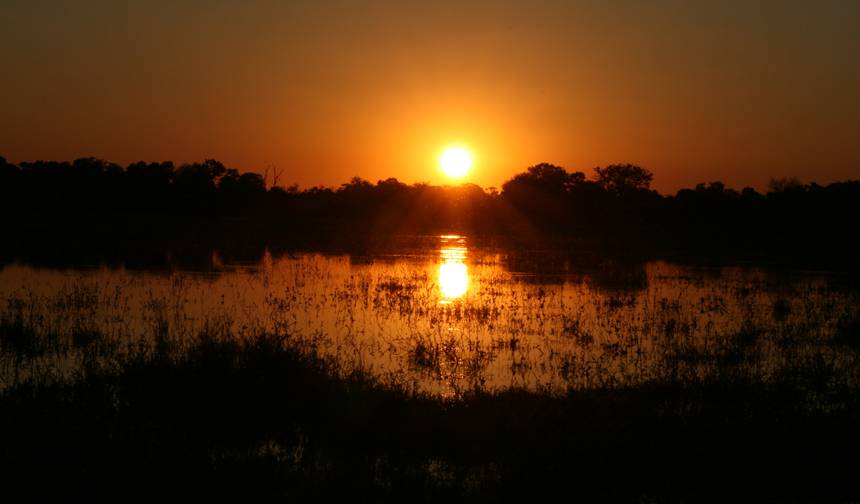 Safári Fotográfico na Reserva Moremi e Parque Nacional Chobe — 1