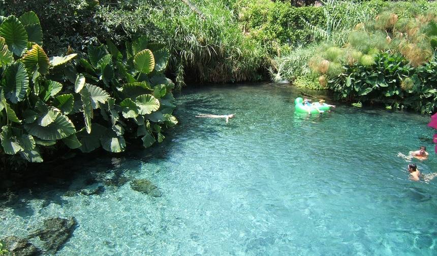 Cuernavaca Tour: Unearth the Gems of the Eternal Spring State — 1