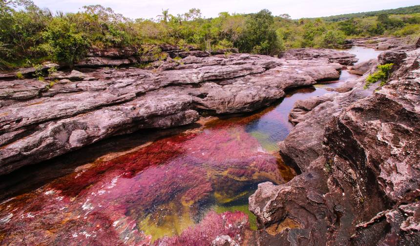 3-dniowa wycieczka do Caño Cristales z Bogoty — 1