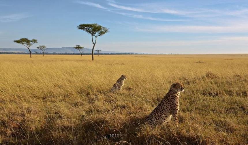 Excursão de 3 Dias ao Parque Nacional do Serengeti e à Cratera de Ngorongoro — 1