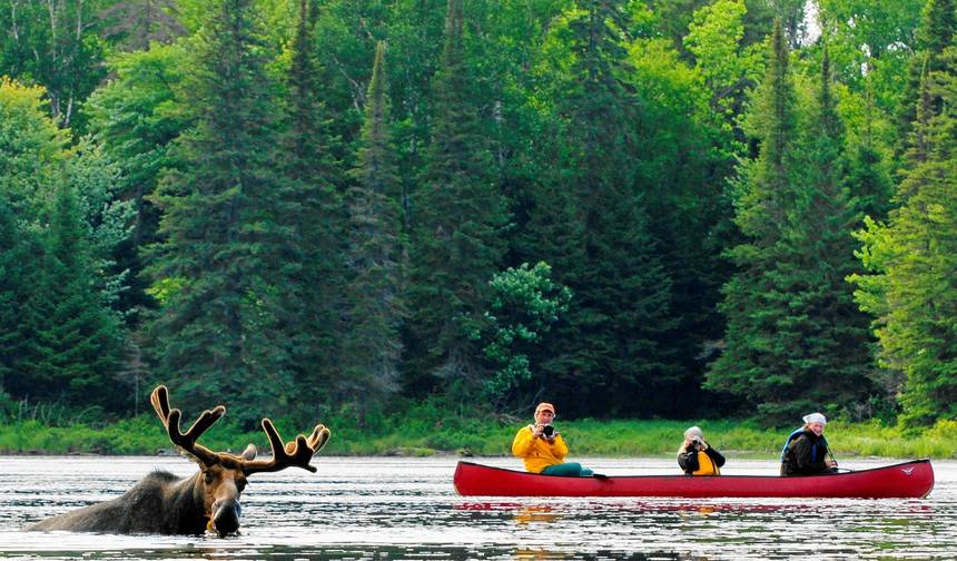 3-dniowa wyprawa kajakowo-kanu po Algonquin Park — 1