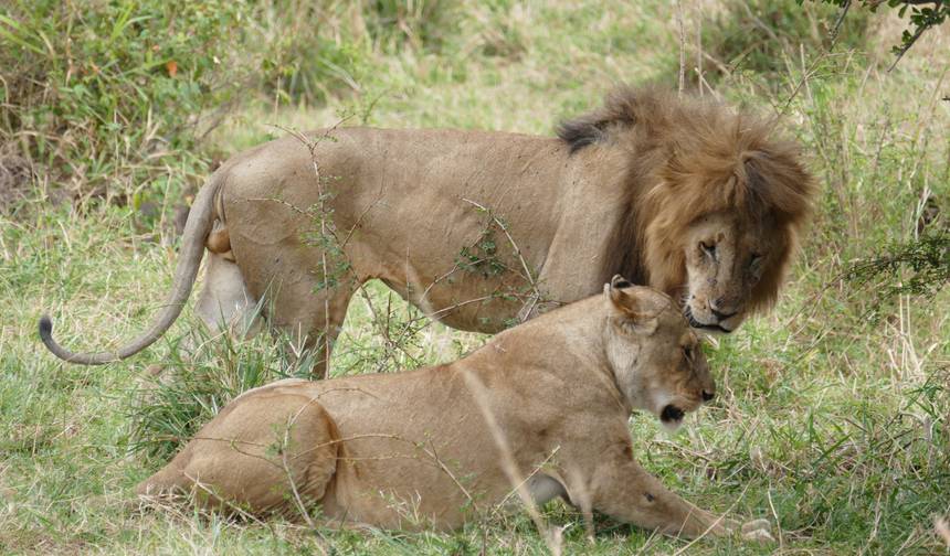 11 dni przygody w Tanzanii i prywatne safari na Zanzibarze — 1