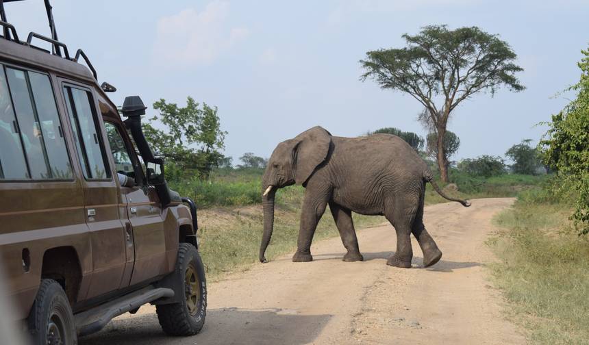 Safari de Vida Selvagem de 3 Dias no Queen Elizabeth — 1
