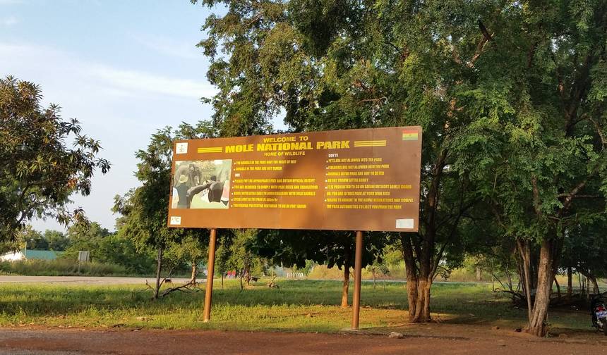 Viagem de 3 dias ao Parque Nacional Mole — 1