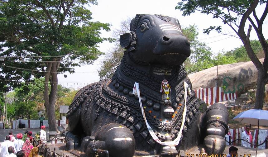 Pacote Romântico por Karnataka com Kerala e Acomodação em Hotel — 1