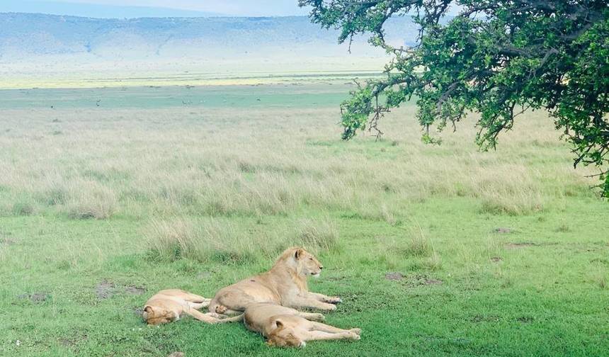 3 Dias Safari em Victoria Falls e Chobe — 1