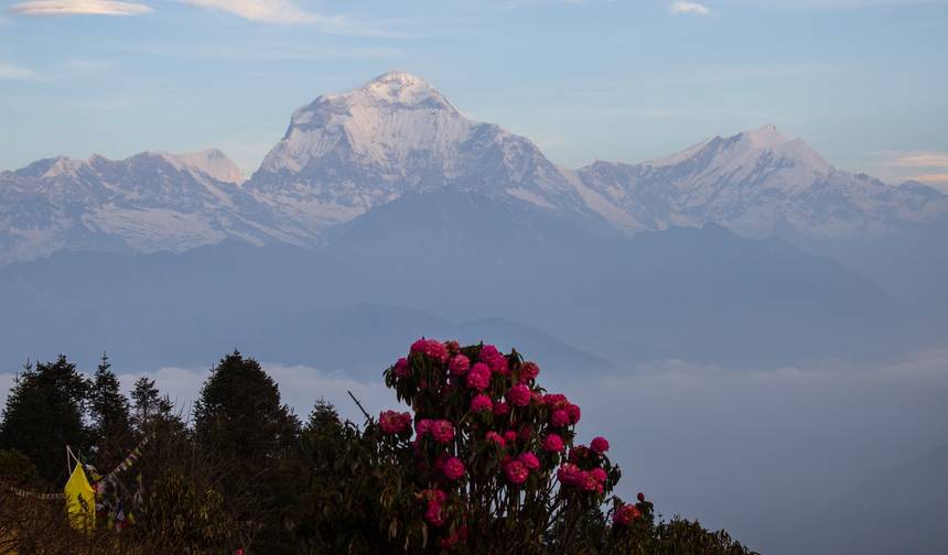 Yoga, Trekking na Montanha e Safári de Tigres no Nepal - 12 Dias — 1