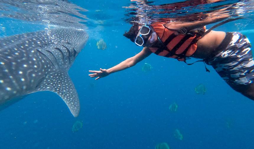 مغامرة الفلبين لمدة 16 يومًا من El Nido إلى جزيرة Coron (جولة مستقلة) — 1