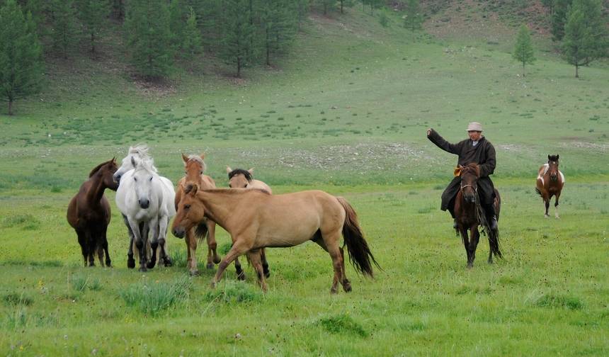 Festiwal Naadam — 1