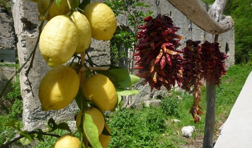Wycieczka po Wybrzeżu Amalfitańskim - 6 fantastycznych dni z bazą w Amalfi — 1