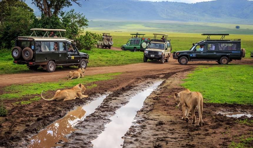 Safari de 6 Dias em Lodge na Tanzânia. — 1