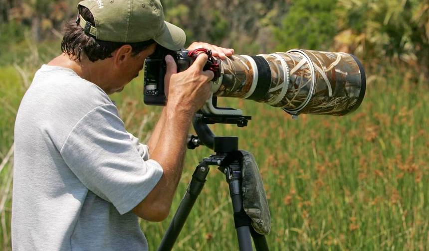 Wildlife for Photography Lenses - 12 Days Tour — 1