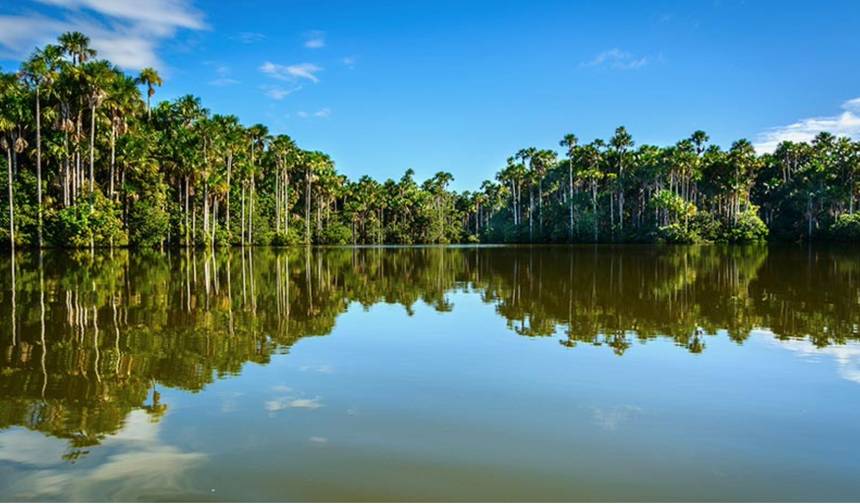 4/3 Selva de Tambopata (Passeios em Pequenos Grupos) — 1