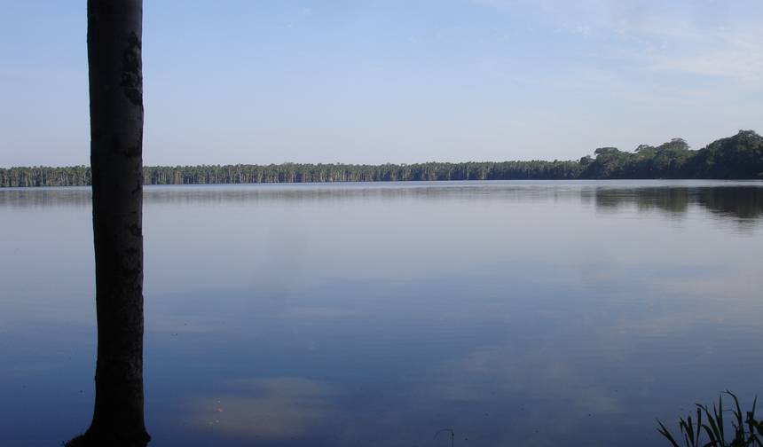 5/4 Iquitos Jungle Rainforest (Small Group) — 1
