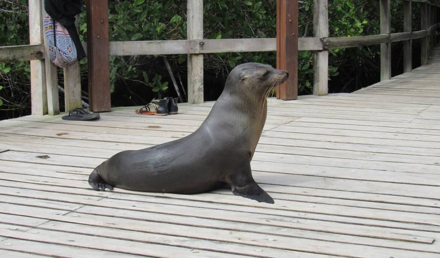 Przygoda na Galapagos (4 dni) — 1