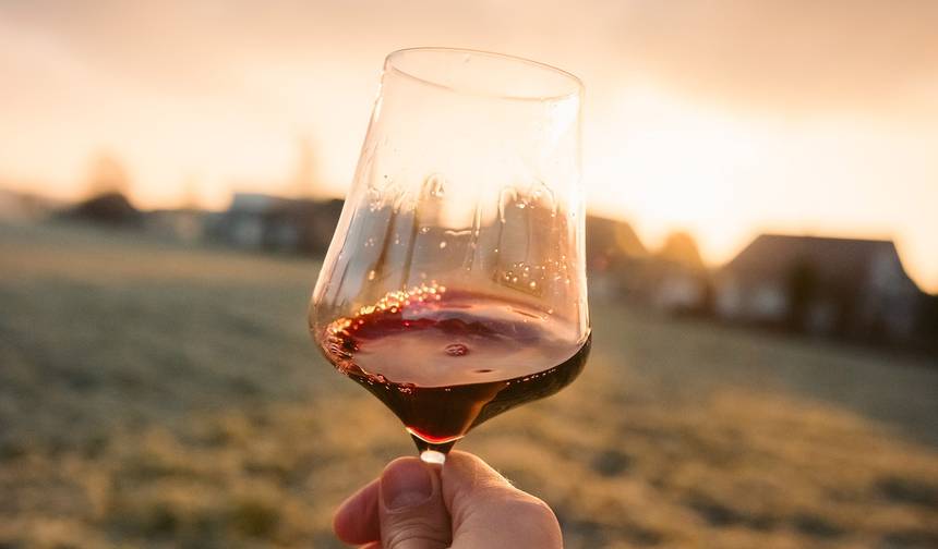Degustação de Vinhos em Mendoza — 1