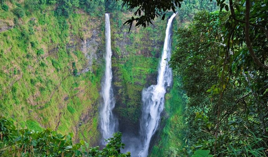 جولة مشاهدة مع توقف في Pakse إلى Wat Phou وDon Khone وجزيرة Khong — 1