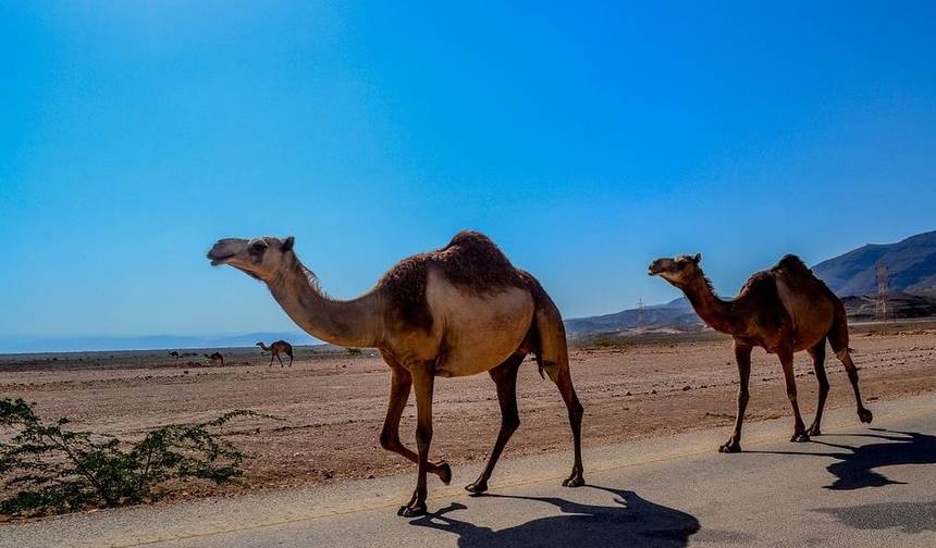 جمال السلطنة 3 أيام – باقة جولة في عمان — 1