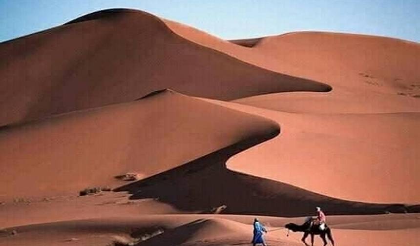 جولة المغرب الخاصة لمدة 9 أيام: من الدار البيضاء إلى طنجة، مع استكشاف الصويرة ومراكش والبرّاز والعرائش وفاس وشفشاون — 1