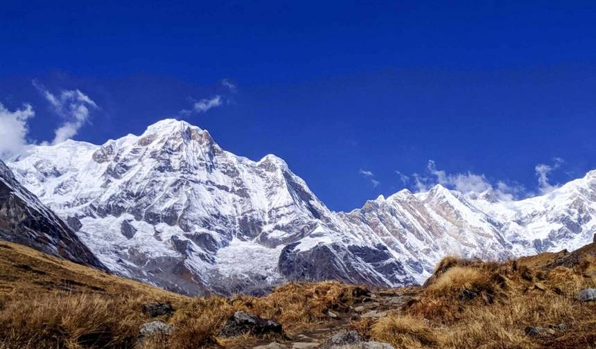 11 Days-Hot Spring Trek and Wildlife Safari — 1
