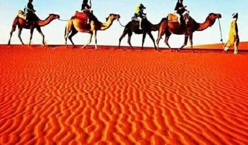 جولة خاصة: من الدار البيضاء إلى مراكش عبر شفشاون وفاس والصحراء. — 1