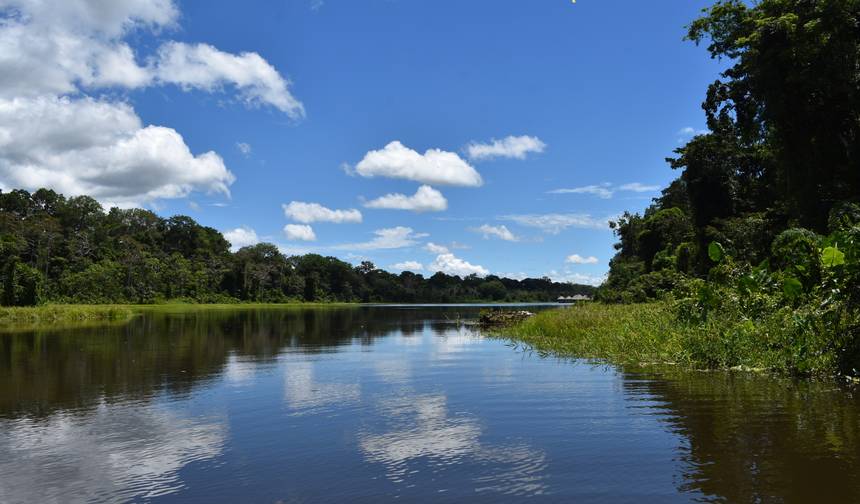 Tour de 4 Dias pela Amazônia — 1