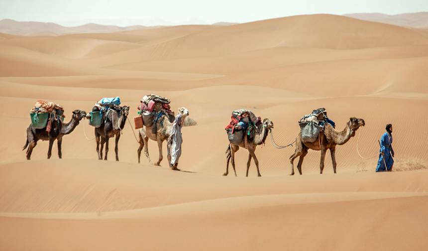 7 Days Camel Trek to Erg Zahar — 1