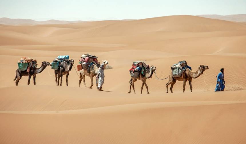 Camel Trek 9 Days to Erg Chigaga — 1