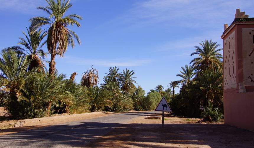 Tour Privado de 6 Dias em Marrocos: De Casablanca a Marraquexe, Explorando Chefchaouen, Fes e o Saara — 1