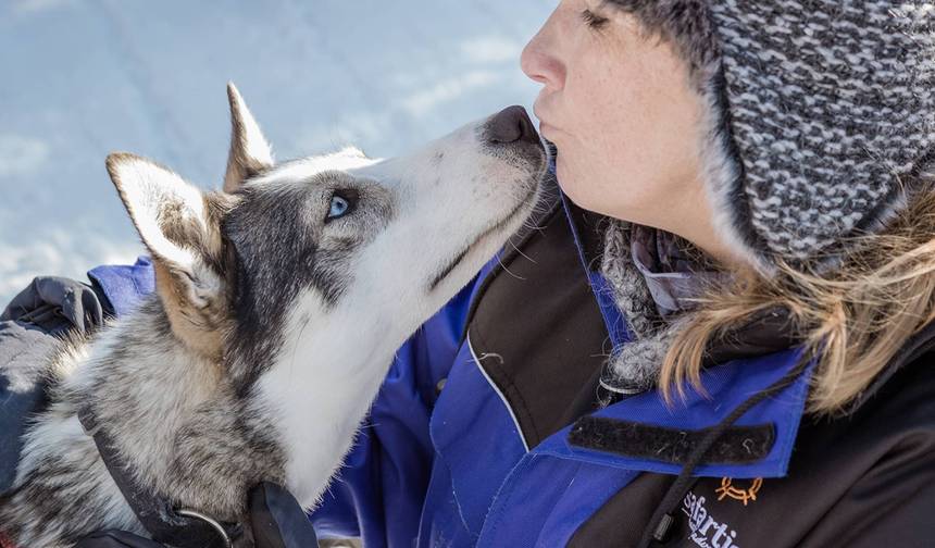 Lapônia e Destaques Husky - 5 Dias — 1