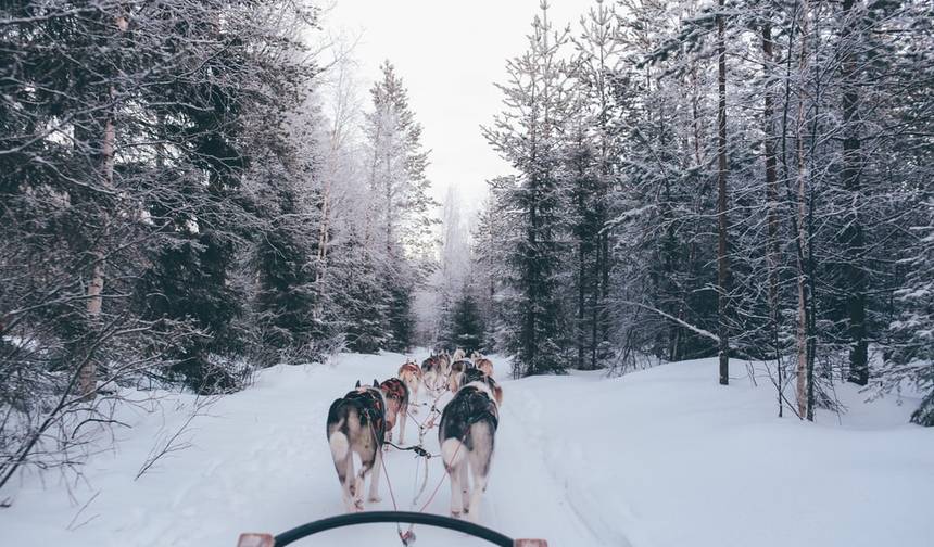 Lapland Family Explorer - 5 dni — 1