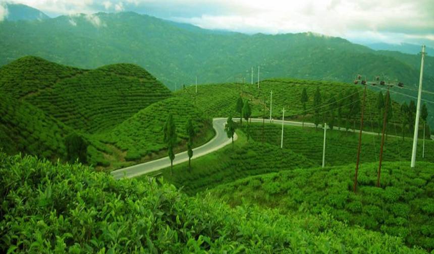 Excursão de 3 Dias ao Paraíso Oriental de Ilam saindo de Kathmandu — 1