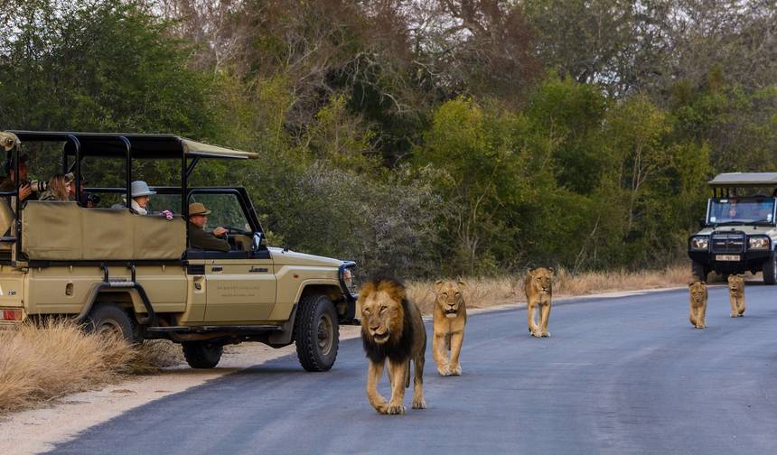 Johannesburg Safari Przygodowe 4 Dni/ 3 Noce (Komfort) — 1