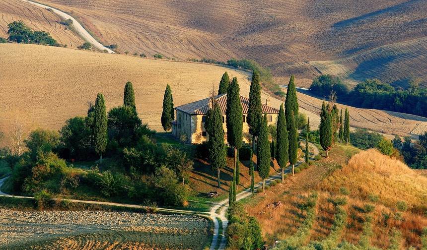 Tuscany Absolute — 1