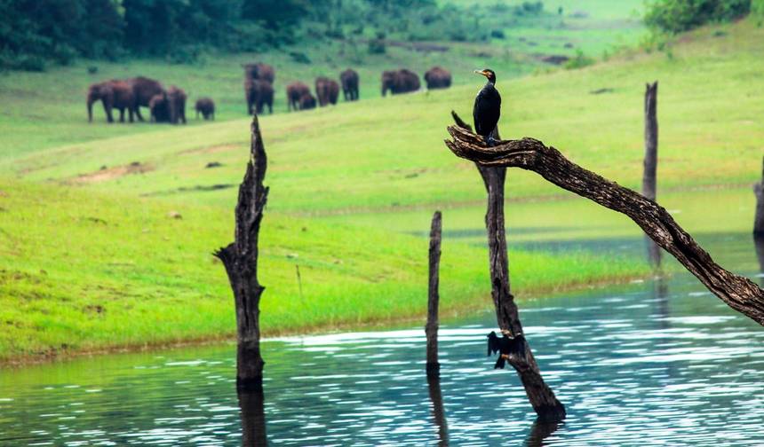 Kerala i jej piękno — 1