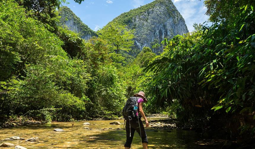 Sarawak Selvagem — 1