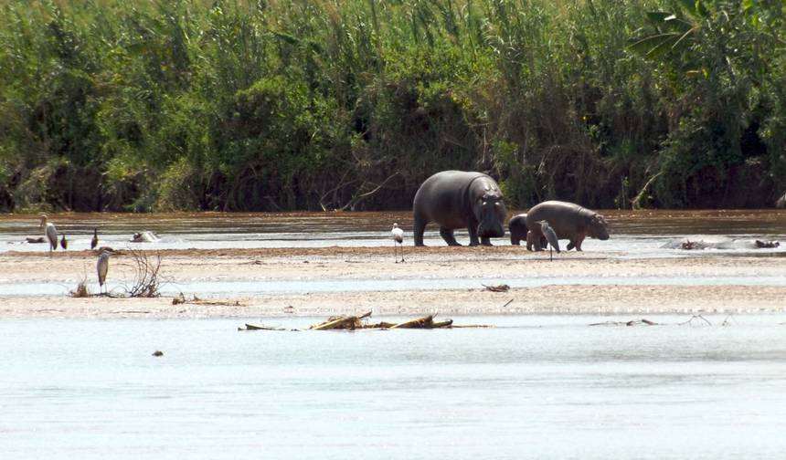 Burundyjskie Safari Przygodowe 7D /6 N (Comfort Plus) — 1