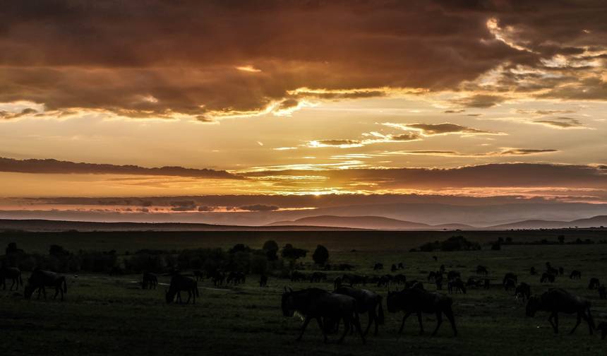 Masai Mara przez Wielką Dolinę Ryftową (Comfort Plus) 3 dni — 1