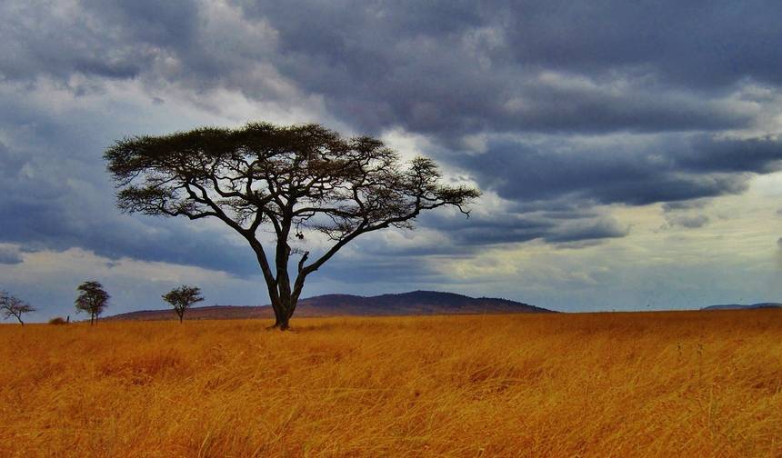 Ngorongoro & Lago Manyara (Conforto) 3 Dias 2 Noites — 1