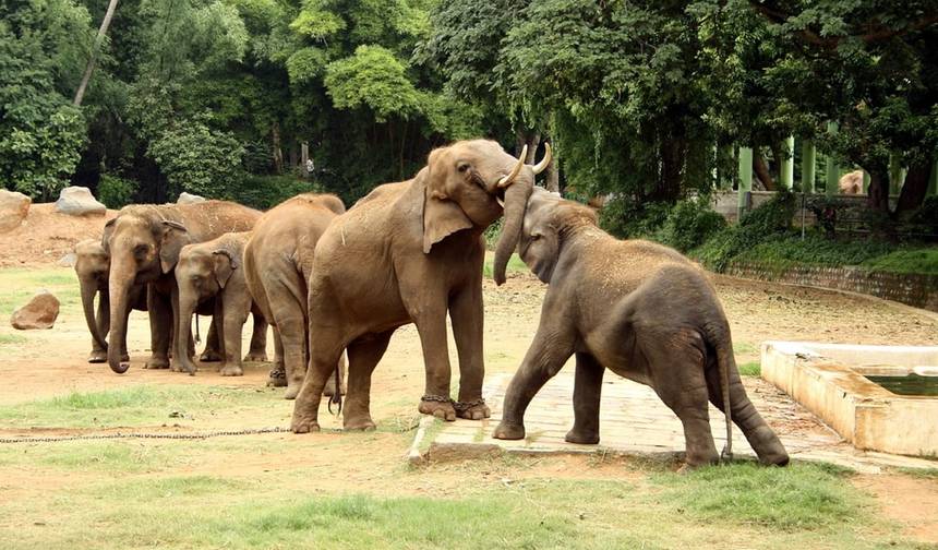Explore Karnataka Tour Package With Kerala — 1