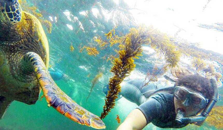 Viagem de Meio Dia a Los Tuneles Cabo Rosa em Isabela Galápagos — 1