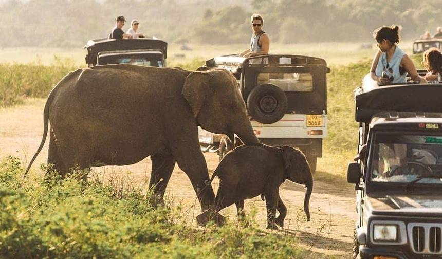 Passeios turísticos no Sri Lanka: 13 Dias, 12 noites com motorista particular, veículo e acomodações em regime de meia pensão — 1
