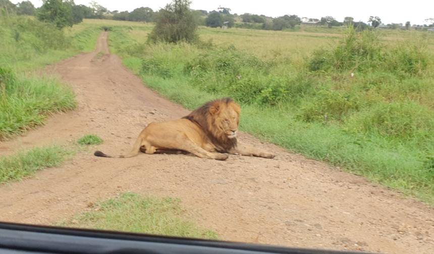 Safari de 8 Dias em Uganda: Aventura em Kidepo e Murchison — 1