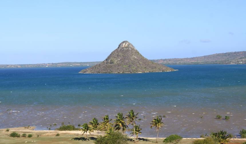 Wanilia Madagaskaru — 1