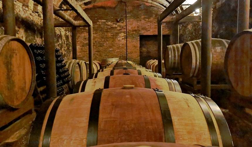 Siena i Wino — 1