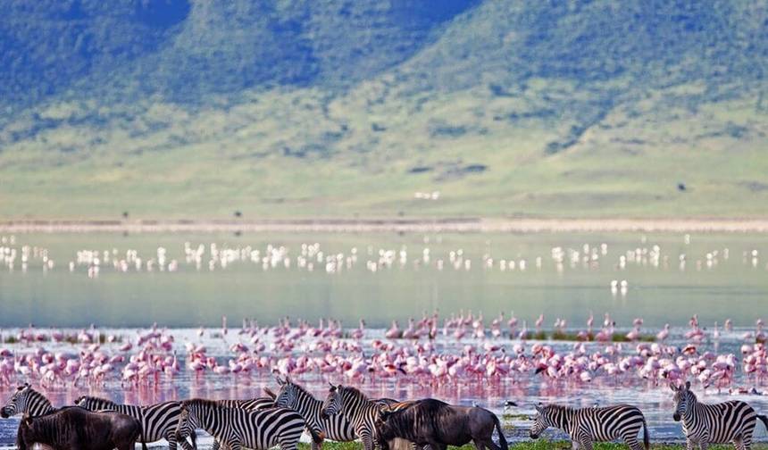 2 Day Tanzania Lodge Safari to Lake Manyara & Ngorongoro Crater — 1