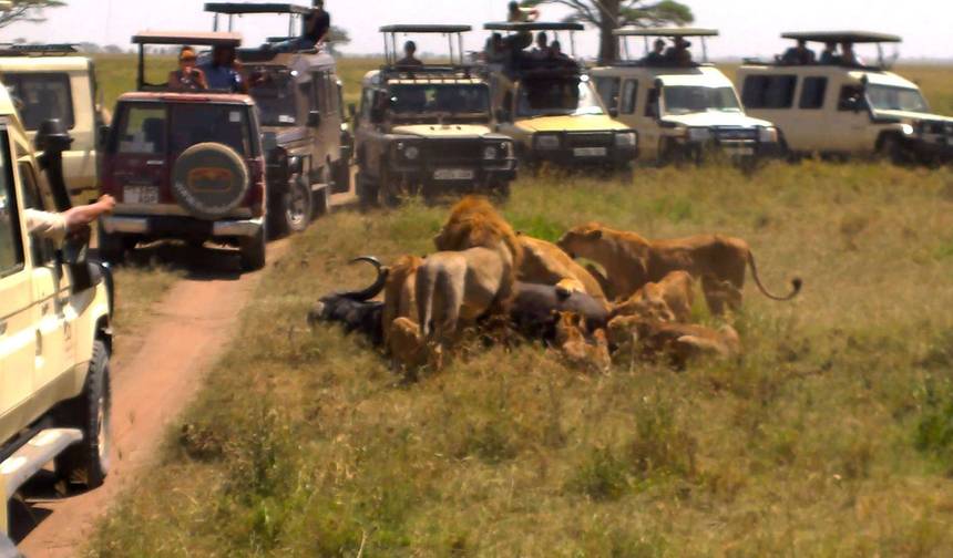 Safari Africano de Luxo de 5 Dias na Tanzânia — 1